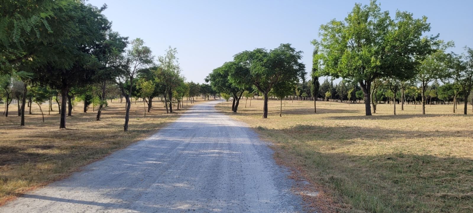 Λάρισα: Καθαρισμός μεγάλων χώρων πρασίνου 